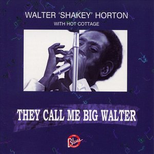 Bild für 'They Call Me Big Walter'