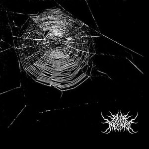 Hollow