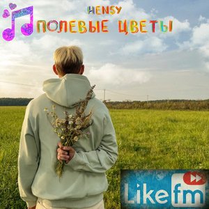 Полевые цветы