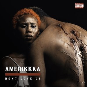 Amerikkka Dont Love Us