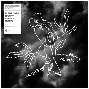 Artwork for In The Dark (Sonny Fodera Extended Remix)