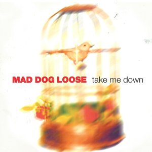 Take Me Down
