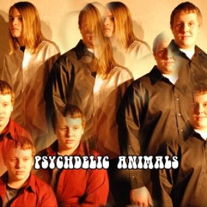 The Psychedelic Animals 的头像