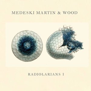 “Radiolarians I”的封面