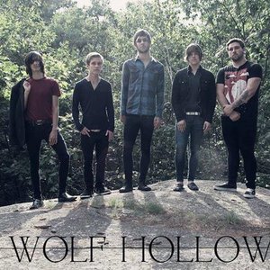 Wolf Hollow 的头像