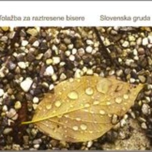 Tolažba za raztresene bisere