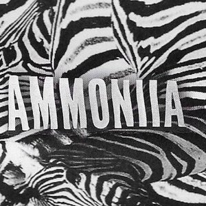 Ammoniia 的头像
