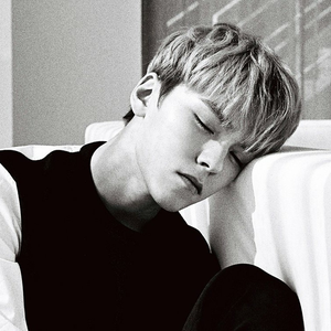 Vernon photo provided by Last.fm