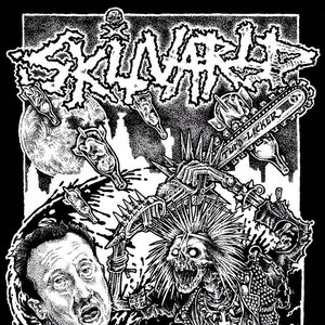 Skitvarld 的头像