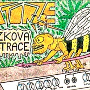 Mozková kastrace