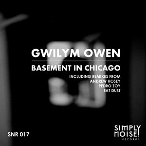 Basement In Chicago