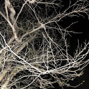 Blood In My Eyes - Single