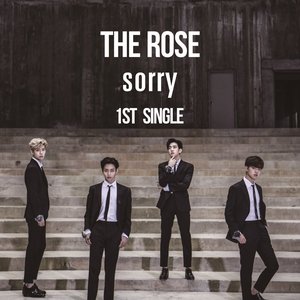 The Rose 1st Single `Sorry`