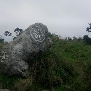 Avatar for Dobra
