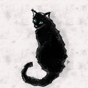 Cool Cat