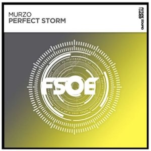 Perfect Storm