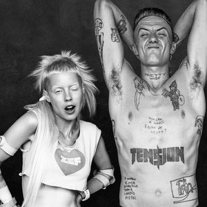 Die Antwoord için avatar