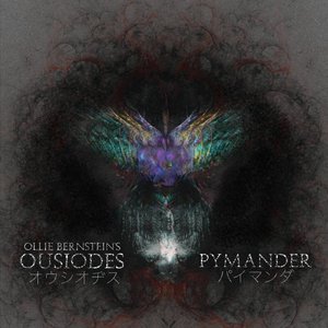 Pymander