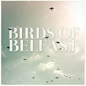 Birds of Belfast