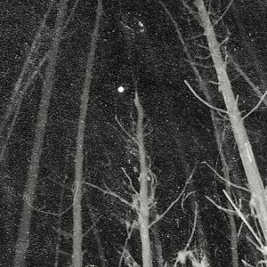 Under the Fullmoon Night