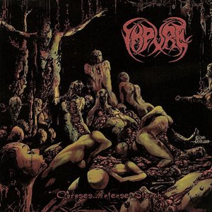 Corpses…Intense Stench