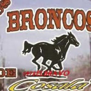 Los Broncos De Cosala 的头像