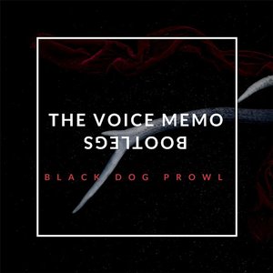 The Voice Memo Bootlegs [Explicit]
