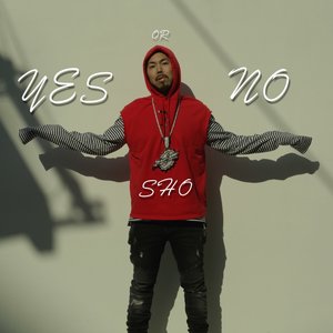 Yes or No - Single