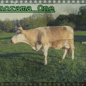 Panorama One 的头像