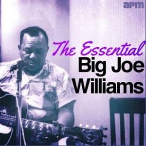 The Essential Joe Williams