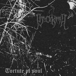 Torture of Soul