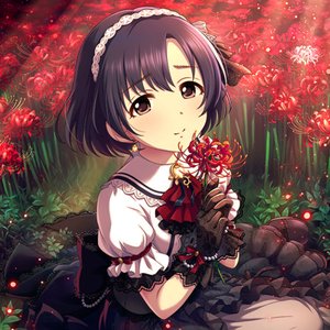 白菊ほたる (CV: 天野聡美) 的头像