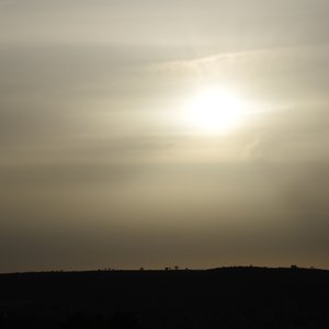 This path I walk - Single
