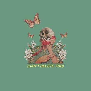 Can't Delete You