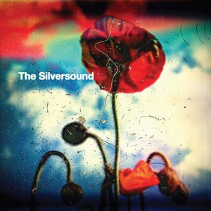 The Silversound