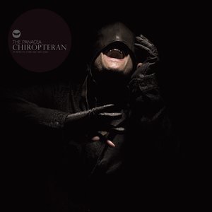 Chiropteran