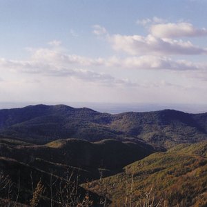 Bajdázó 的头像