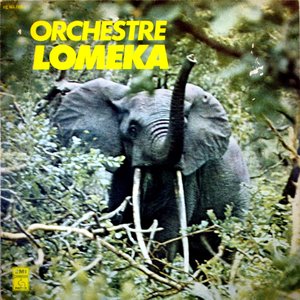 orchestre lomeka