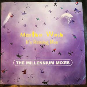 It's Raining Men (The Millennium Mixes)