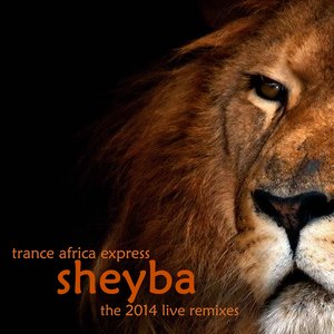 Trance Africa Express - The 2014 Live Remixes