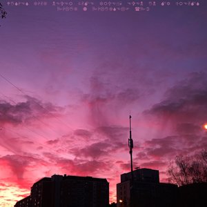 Wishes That Never Came True, Even in My Dreams