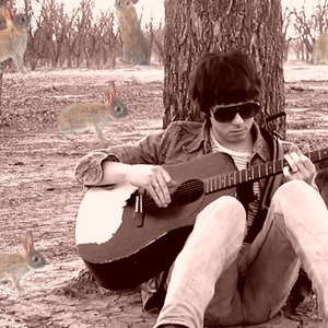 Taylor Hollingsworth photo provided by Last.fm