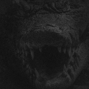 CROCODILE TEARS - Single