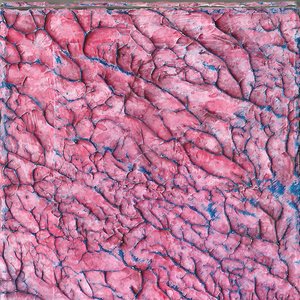 Compression, And The Process Of Turning Red