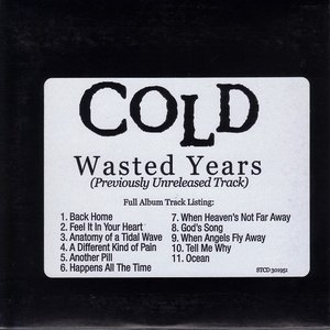 Wasted Years (Previously Unreleased Track)