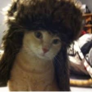 Avatar for SLXM