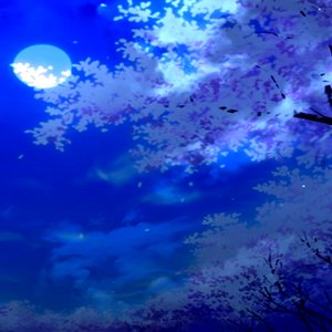 月 -Yue-