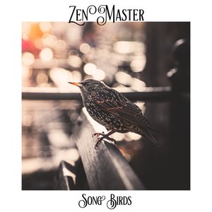 Song Birds