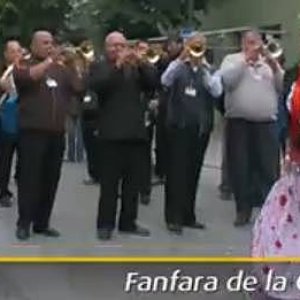 Fanfare Din Cozmesti 的头像