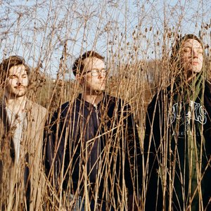 Canes of Karabakh 的头像